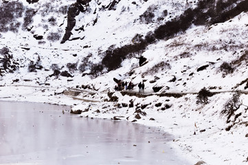 Tsomgo Lake (Tsongmo or Changu Lake) frozen during winter season. It is a glacial lake in East Gangtok Sikkim of India. Lake surface reflects different colors with change of seasons. Landscape View