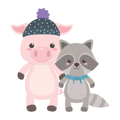 Pig and raccoon cartoon design