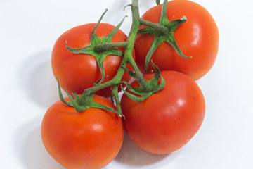 fresh tomatoes on the vine