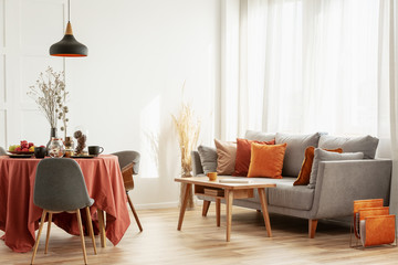 Open space dining and living area with grey scandinavian sofa and table with chairs