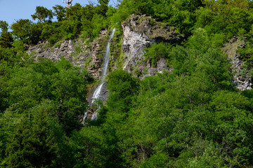 mountain river a lot of greenery and stones
