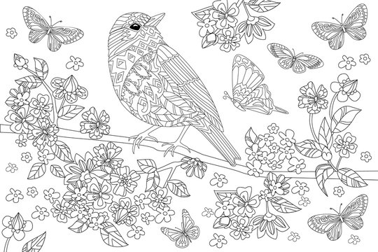 pretty bird on branch of sakura for your coloring book
