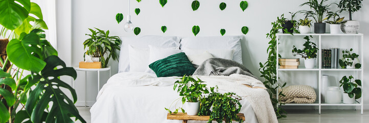 Panoramic view of white and green bedroom with king size bed and urban jungle