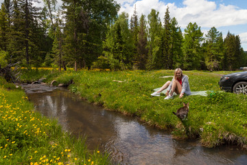 A picnic on the bank of a mountain river with green grass and yellow flowers against the background of coniferous trees and a blue sky with clouds; a beautiful blonde is sitting and cat jumping