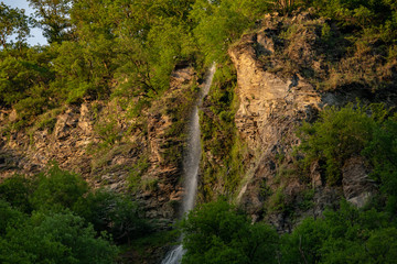 mountain river a lot of greenery and stones