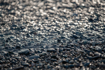 pebble beach of the black sea