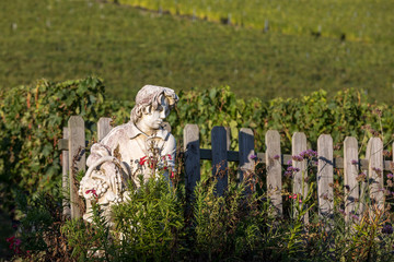 Statue of a boy holding a basket with grapes on the background of vineyards in the Saint Emilion...