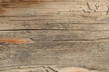Naklejka na ściany i meble Alte graue Holztextur mit Holzwurmspuren als Hintergrund