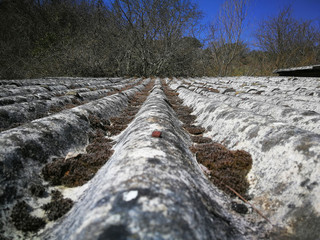 Tejado de aislante construido con material fibroso de amianto 