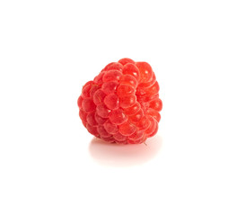 Raspberry berry on a white background. Macro