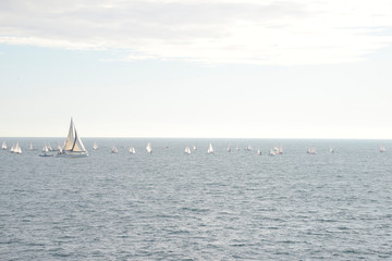 Sailboats in the middle of the sea