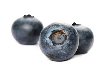 Blueberries macro isolated on white background