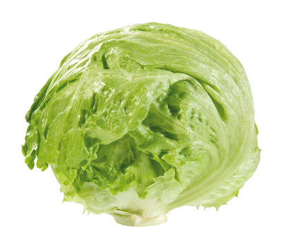 "Salatkopf Images – Browse 1,621 Stock Photos, Vectors, and Video ...
