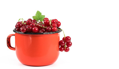 .red berries in a red mug on a white background