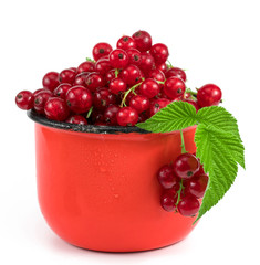 red berries in a red mug on a white background