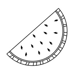 Isolated watermelon design vector illustrator