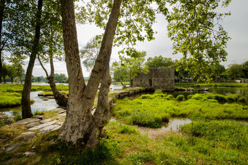 On the banks of the river