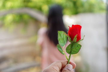 Red roses in the hands of men have blurred women as the background. The idea of...