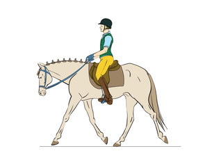Horse info graphic with horse and rider on white background. Poster for web or print design