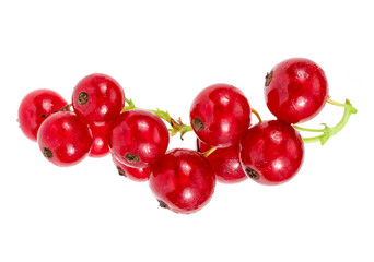 Red Juicy Currants Isolated On White Background.