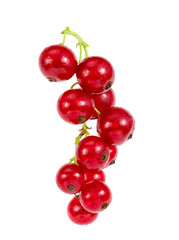 Red Juicy Currants Isolated On White Background.