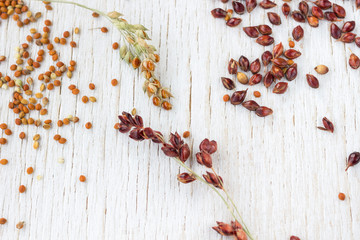 Sprigs and grains of red and yellow millet. White background.