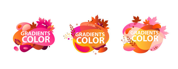 Flowing multicolored abstract elements set. Dynamical colored forms and lines. Flowing liquid shapes banners with leaves. Template for design of logo, flyer, presentation, vector illustration