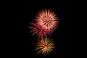 Fototapeta premium fireworks in the sky