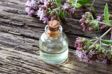 A bottle of essential oil with blooming oregano