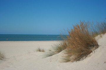 Spanish beach with golden sand Huelva