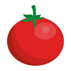 Isolated tomato design vector illustrator