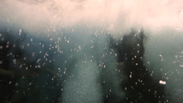 three girls are immersed in the sea in a cloud of air bubbles and splashes. im happy and fun.