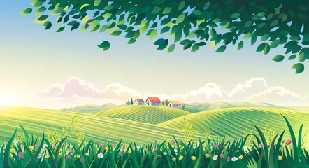 Foto op Aluminium Rural summer landscape with flowers and grass in the foreground. Raster illustration. © Rustic