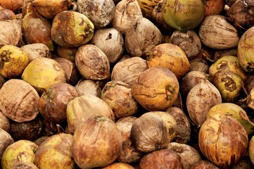 Many Coconuts background