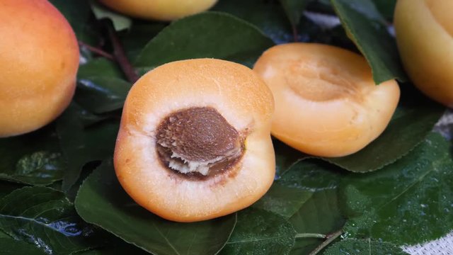 Group of delicious orange apricots fruit with green leaf on table. Concept of the summer harvest, canning or food preservation