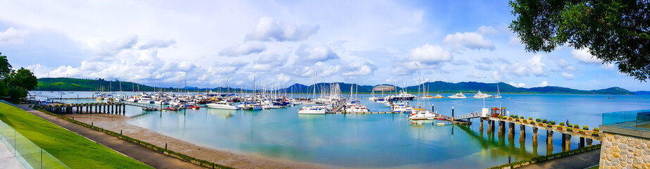 Fototapeta na wymiar Panorama view of Luxury yacht marina, Harbor Yacht in the sea or ocean in daytime that consist of many of yachts