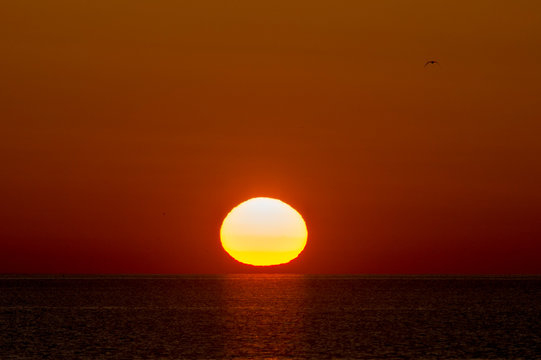 Calm Ocean Sunrise © rayhennessy