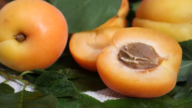 Fresh apricot fruit and half and tree branch on white background. Ripe and healthy food concept