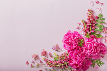 pink beautiful flowers on pink paper background