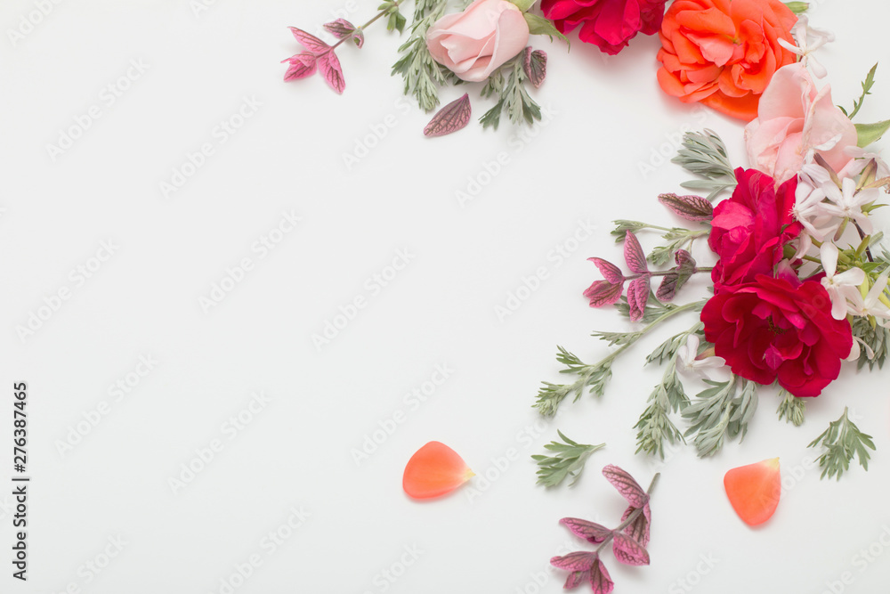 Wall mural rose flowers and leaves on white background