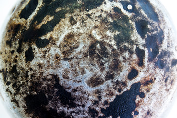 rust metal surface making an abstract texture