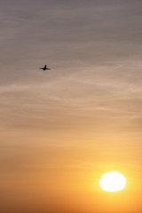 Fototapeta na wymiar Airplane taking off or landing during sunset