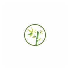 Bamboo with green leaf for your logo icon vector template