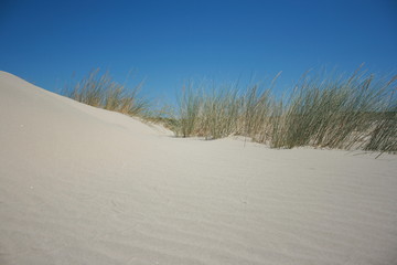 Fototapeta na wymiar Dunes and golden sand Spanis beach Huelva