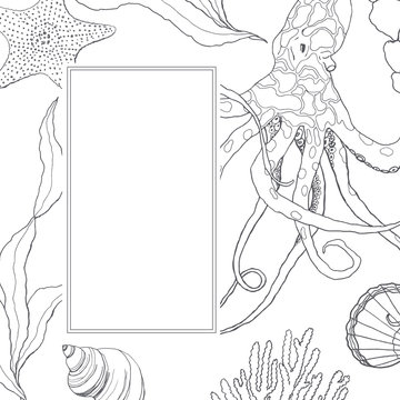 Line art border with coral reef plant and octopus. Hand painted seaweeds, shells and starfish isolated on white background. Nautical template. Illustration for design, print or background.
