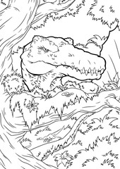 Coloring book, Spinosaurus
