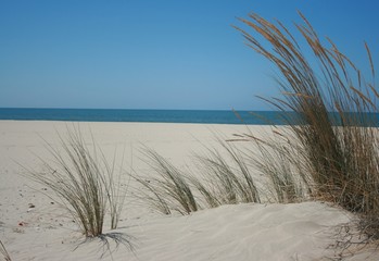 Spanish beach with golden sand and blue sky 
