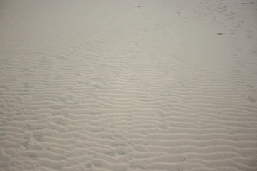 Dunes and golden sand Spanis beach Huelva