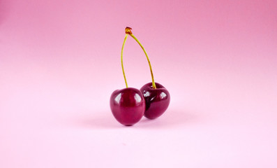 Two sweet cherries with sprigs on a pink background