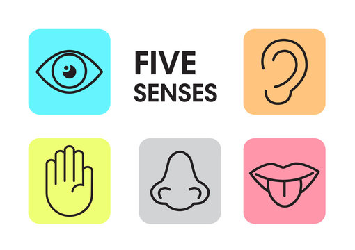 five human senses, vector illustration